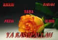 /album/dini-yazili-resimler/a444445ogfl0-jpg1/