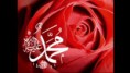 /album/dini-yazili-resimler/a625787818kirmizi-guller-muhammed-askina-boynunu-buker-sav12-jpg1/